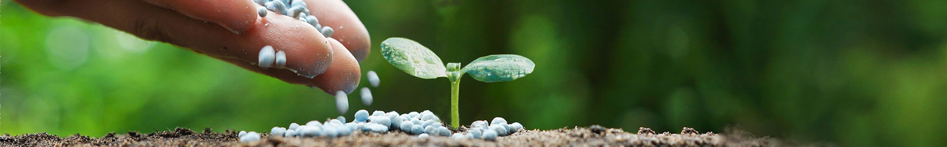 青島海潤(rùn)華瑞生物科技有限公司